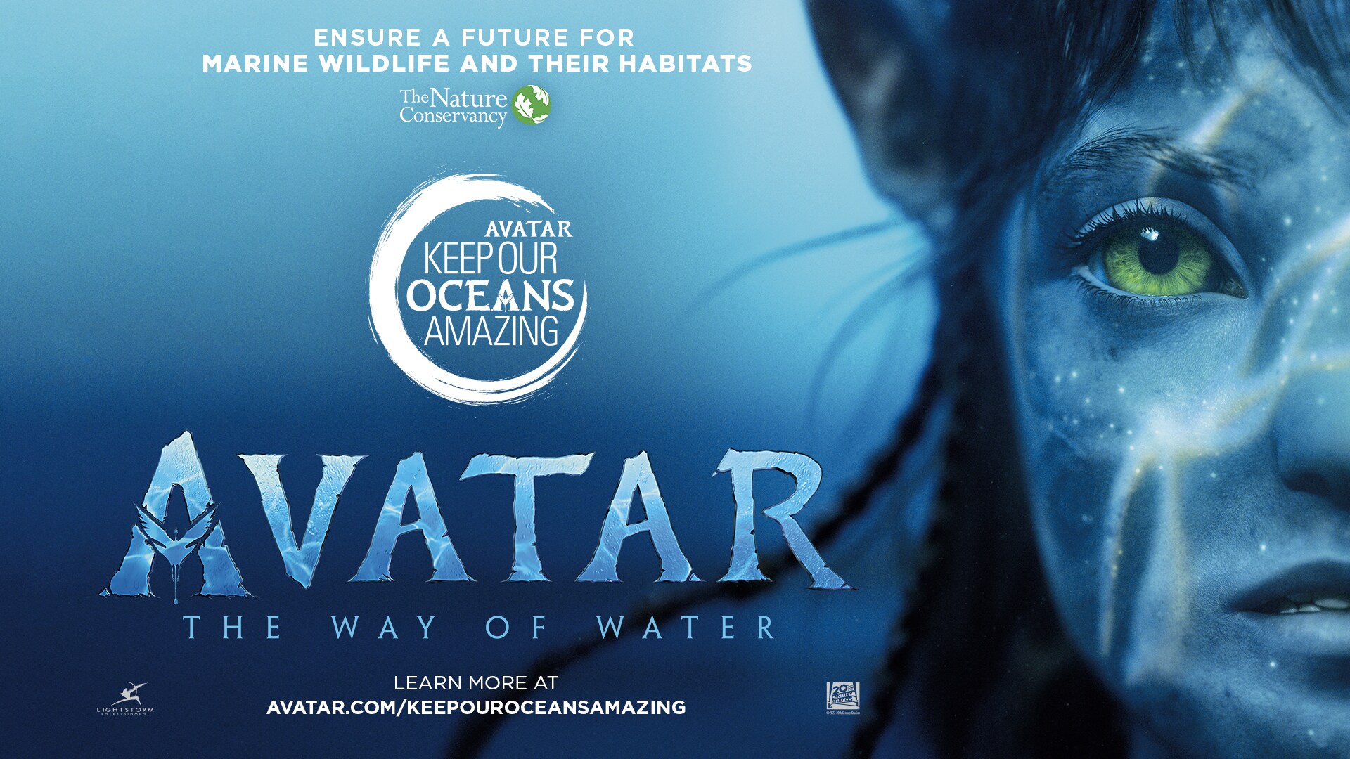 The Beautiful and Useless Return of Avatar  The Nation